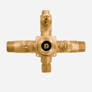 1/2" Thermostatic Valve with Modified Volume Control